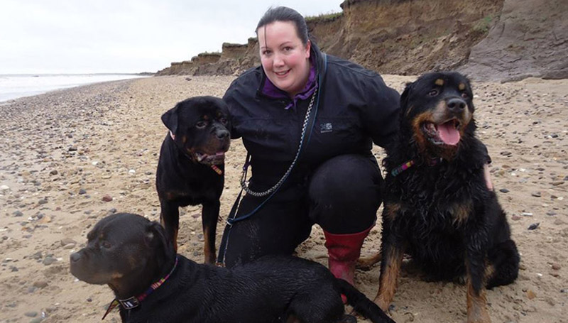 Expert Dog Trainer - Hounds With Hannah - York Dog Training School