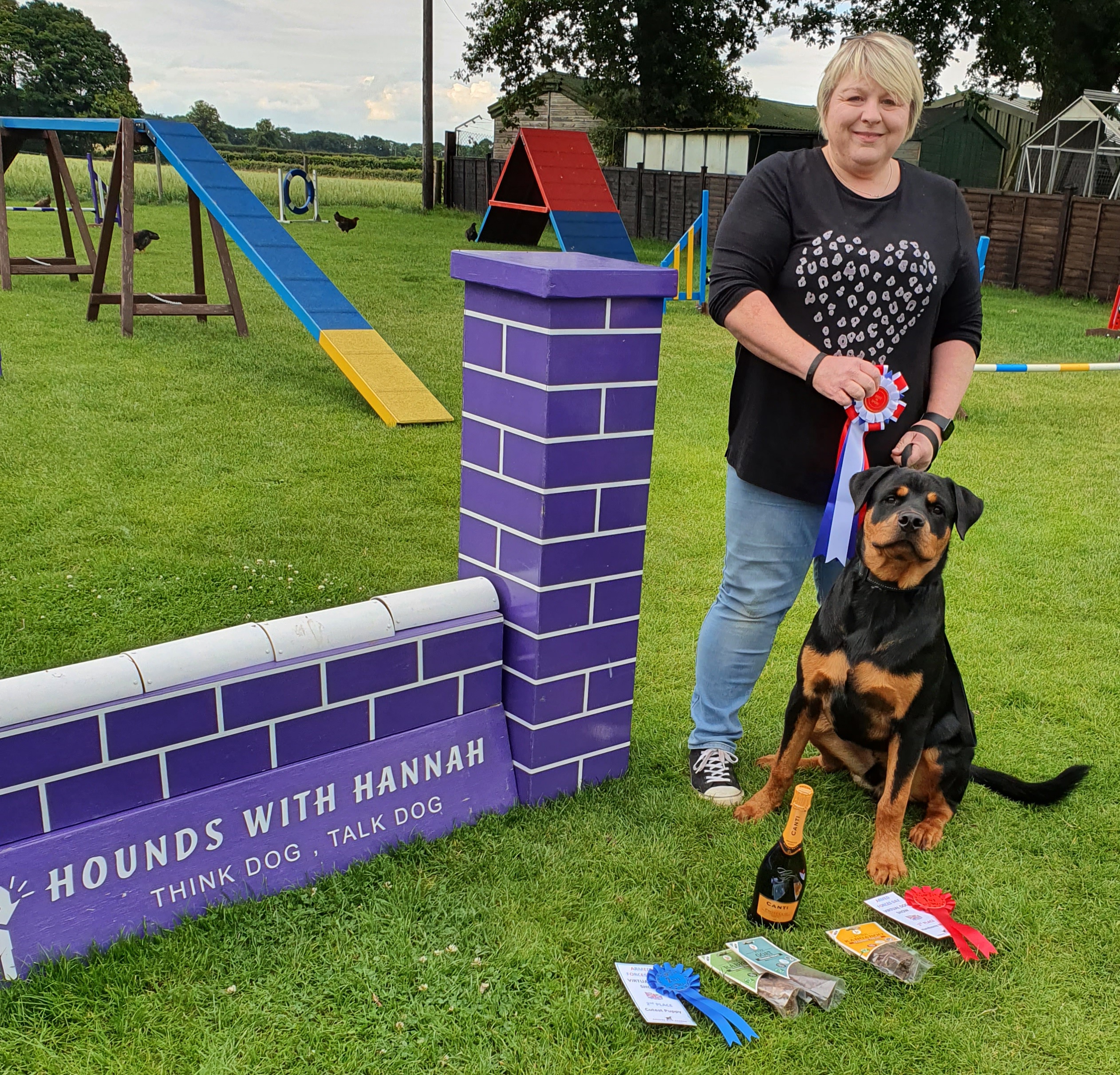 Help For Heroes - Hounds With Hannah - York Dog Training School