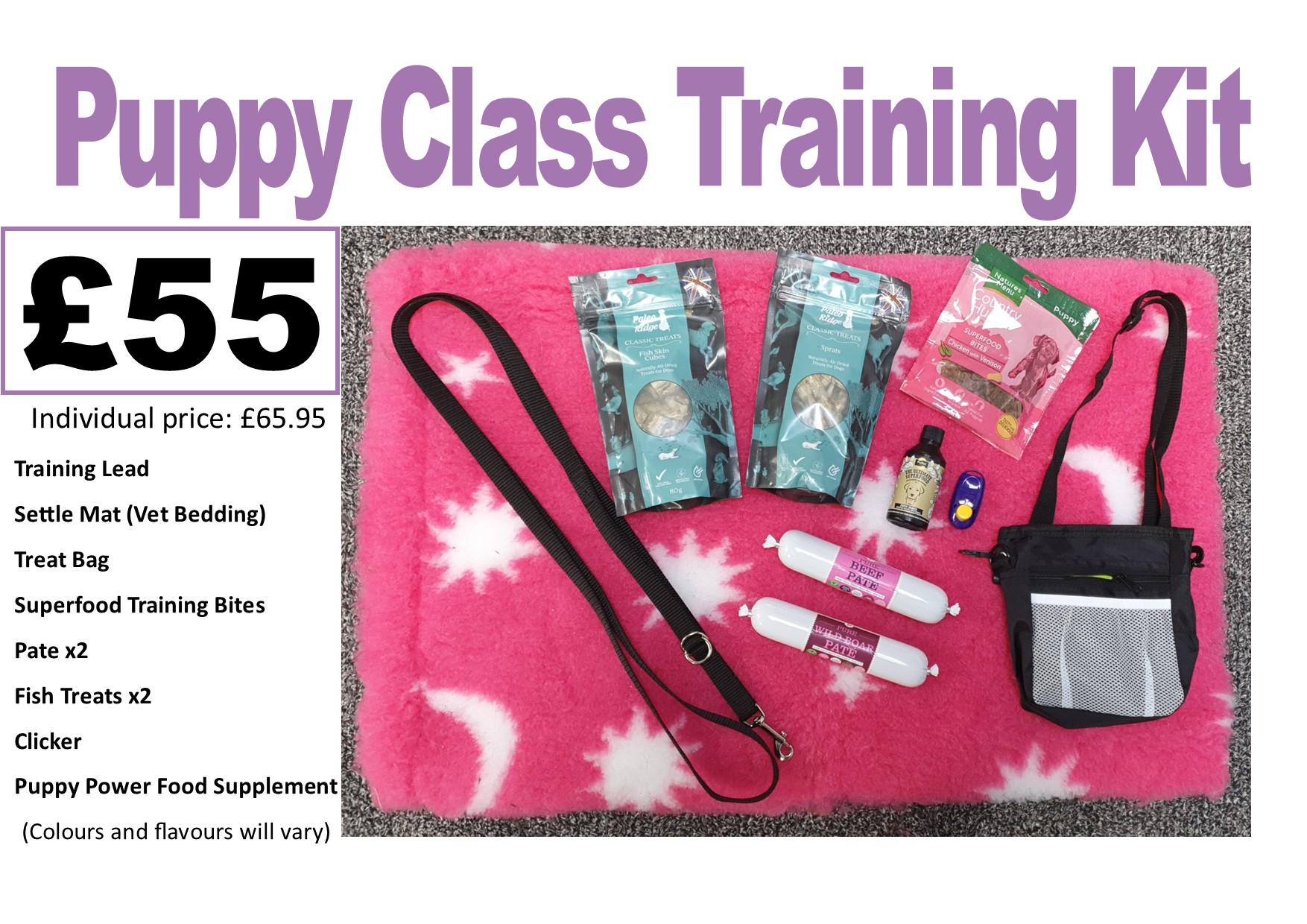 Dog training kit sale